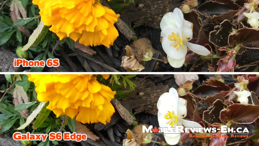 iPhone 6S vs. Galaxy S6 - Camera Comparison - Exposure