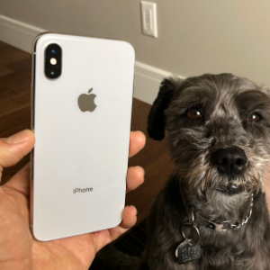 iPhone X vs. iPhone 8 Camera Comparison